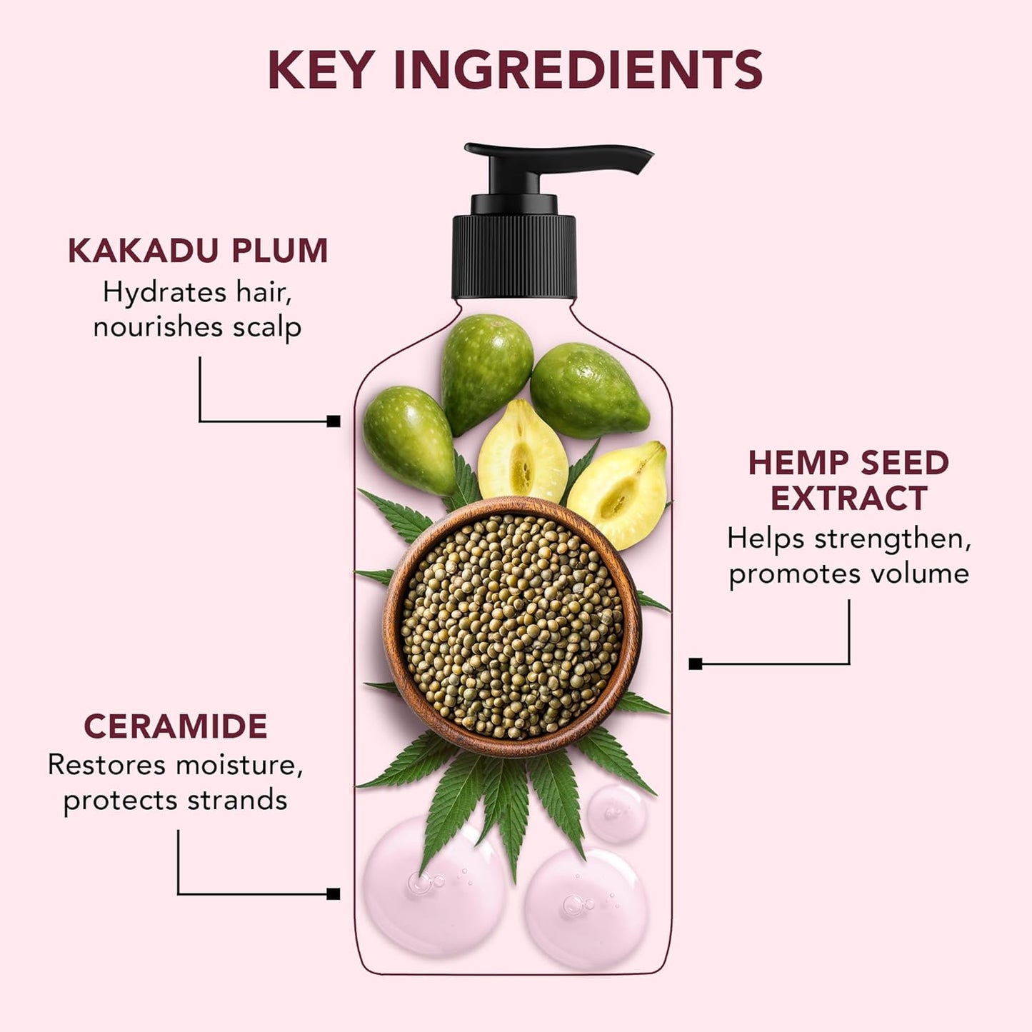 Botanic Hearth Kakadu Plum Shampoo Infused With Hemp Seed Extracts & Ceramide | Clarifying Shampoo To Defrizz, Hydrate & Strengthen Hair | Paraben & Sulfate Free | For All Hair Types, 16 Fl Oz