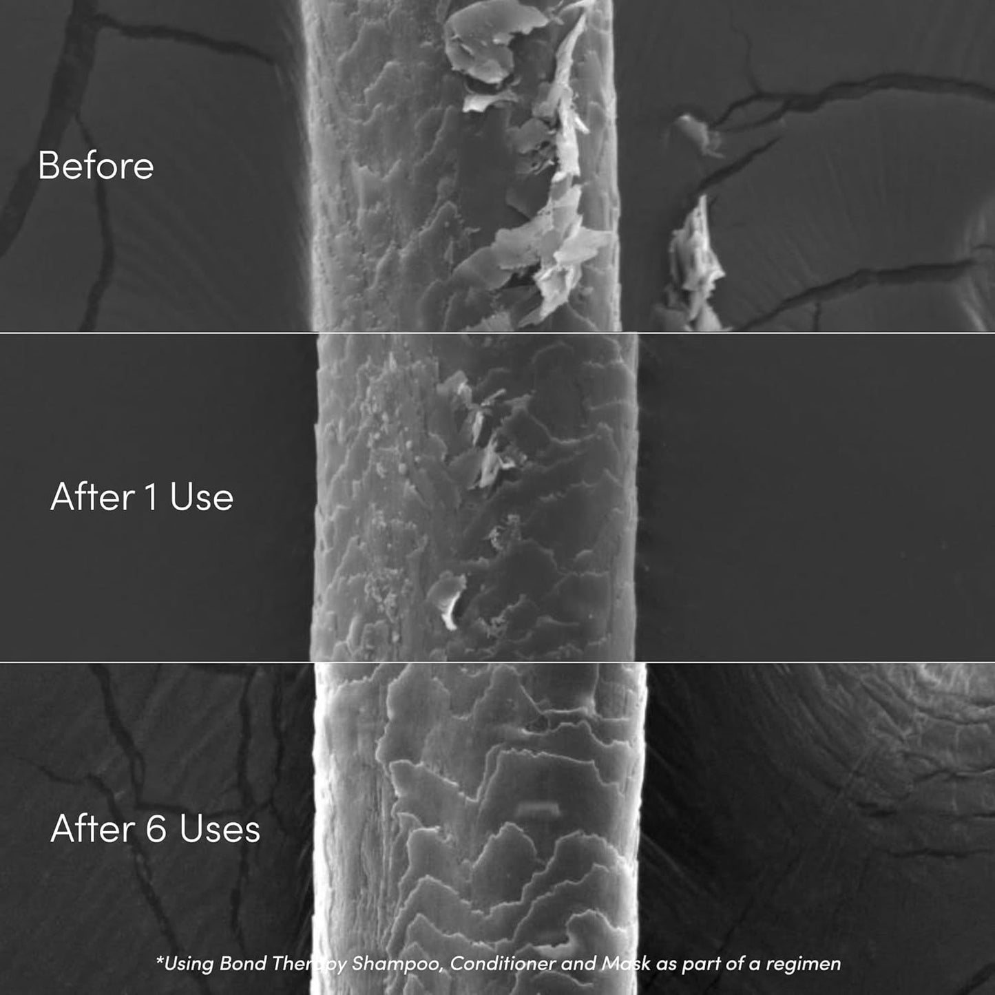 Coco & Eve Bond Therapy Pro Bond Conditioner. Strengthens and Repairs Hair Bonds with Less Breakage. Hydrating, Nourishing Conditioner for Damaged, Chemically Treated Hair. (9.47 fl oz)