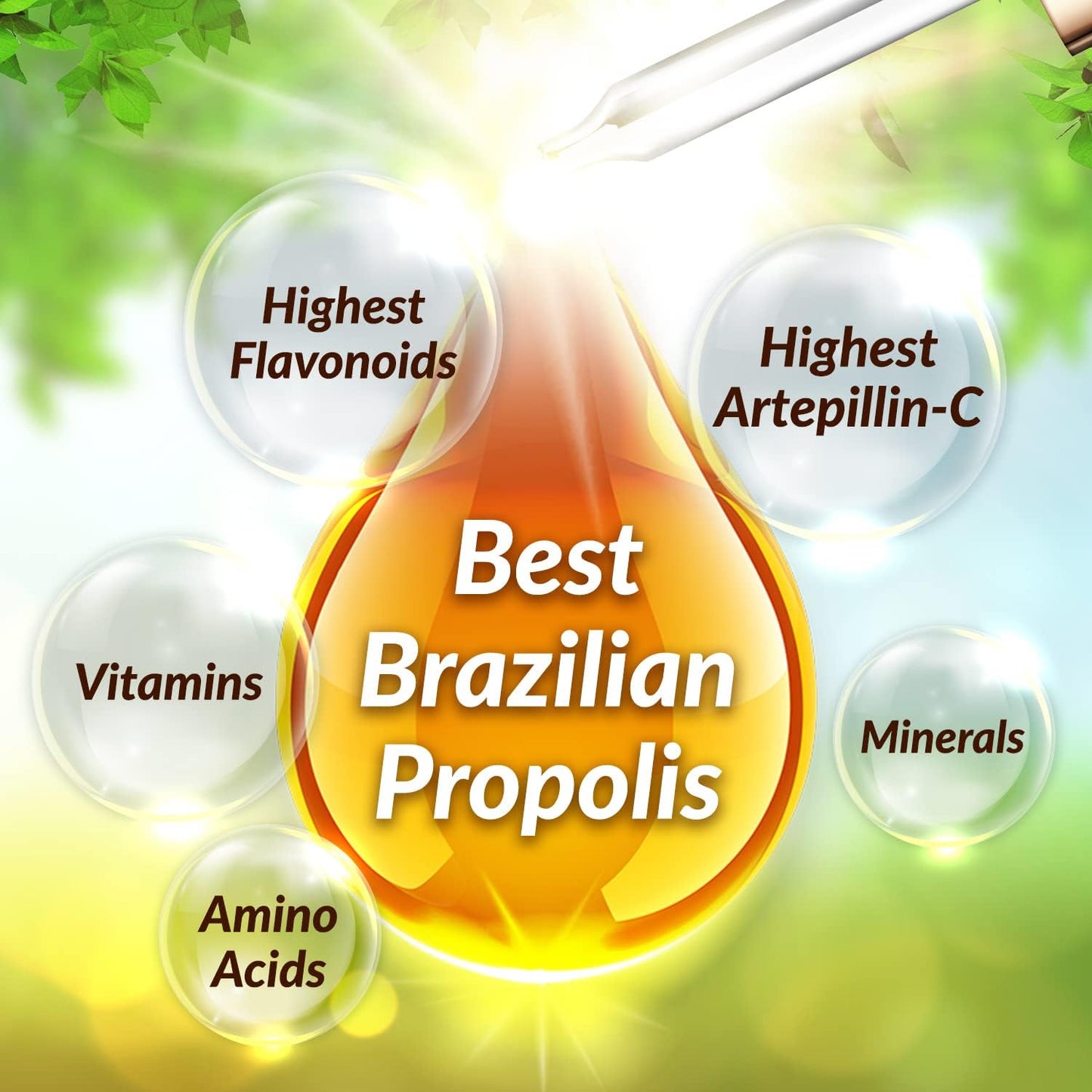AFC Japan Brazilian Green Propolis Extract | Highest Artepilin C & Flavonoids for Antioxidant & Immune Support Pure Concentrated Liquid Extract Bee Propolis Tincture from Brazil (30ml/ 1Fl.Oz)