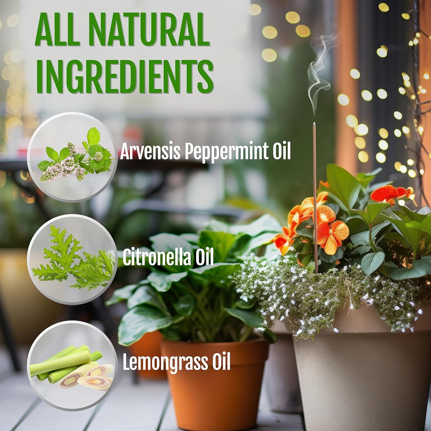 Farm Raised Candles USA Made - Bulk Pack Mosquito Repellent Incense Plant Based Natural Mosquito Gnat's & No See um Outdoor Patio Sticks Mintronella